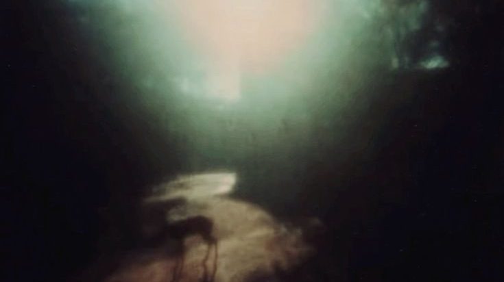 The Abiding Abyss of the&nbsp;Normative