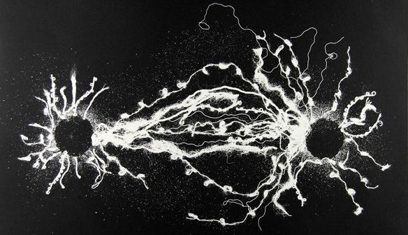 Notes on Entropy and&nbsp;Negentropy