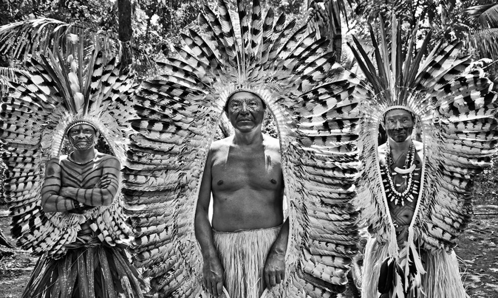 Amazonian Accelerationism