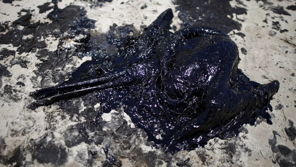 A Blackened Ecology for the End of the&nbsp;Summer